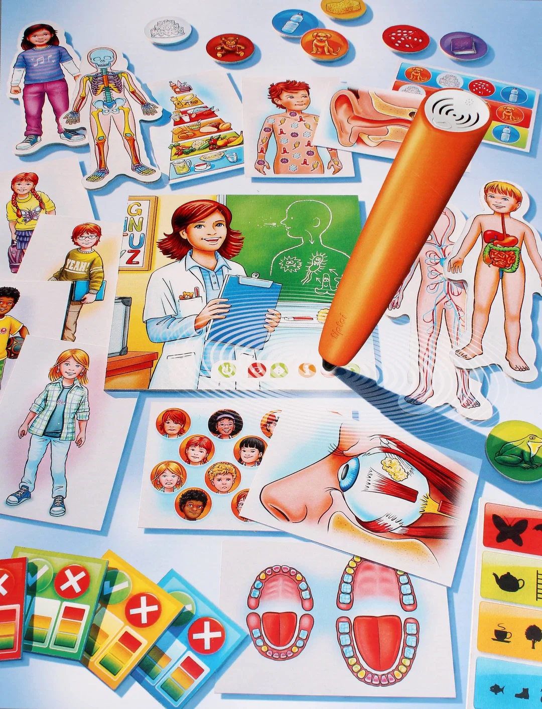 Tiptoi – Dein Körper und Du Ravensburger, Lernsystem – Bild 2