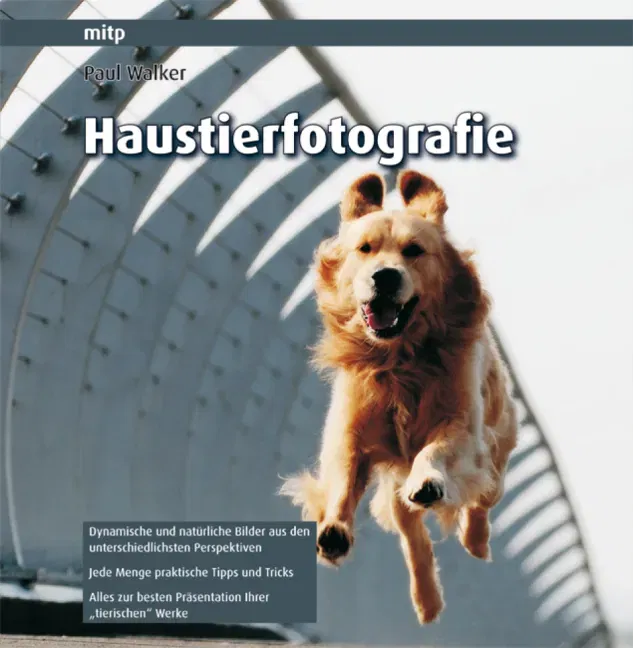 Haustierfotografie - Paul Walker - Bild 1