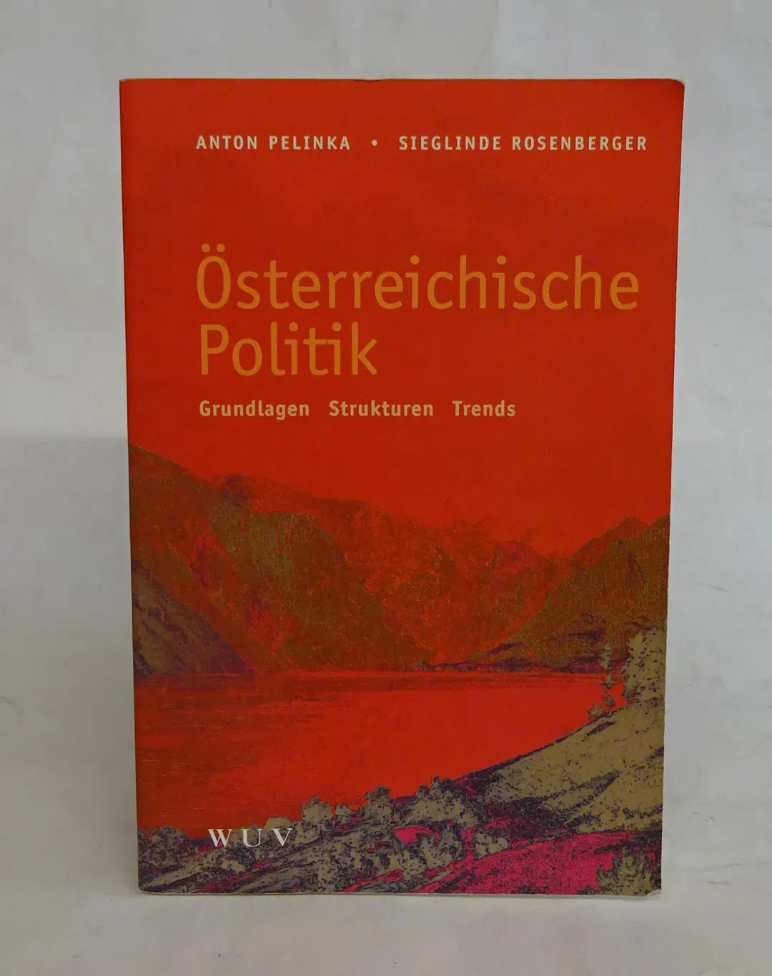 Österreichische Politik - Anton Pelinka,Sieglinde Rosenberger - Bild 2