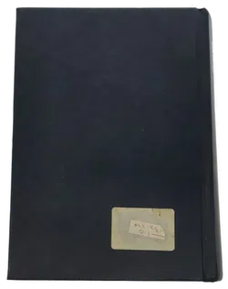 Buch Das einzige Wörterbuch 