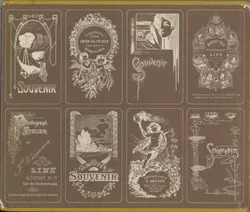  Buch Oberösterreich in alten Photographien, 1848-1914  - Bild 2