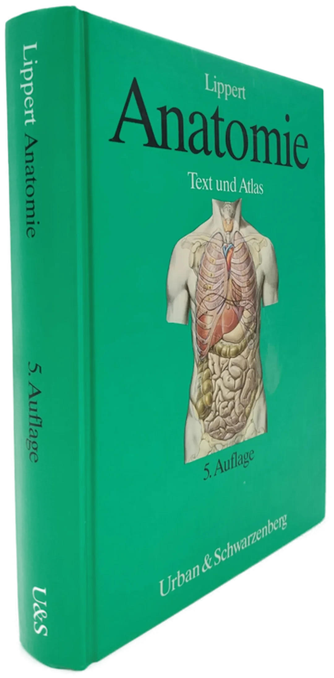Anatomie - Herbert Lippert – Bild 2
