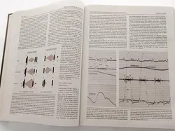 Hurst's the heart - Valentin Fuster u.a. - Bild 4