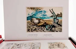 Collection Lutz R. Ketscher Surrealismus - Bild 4