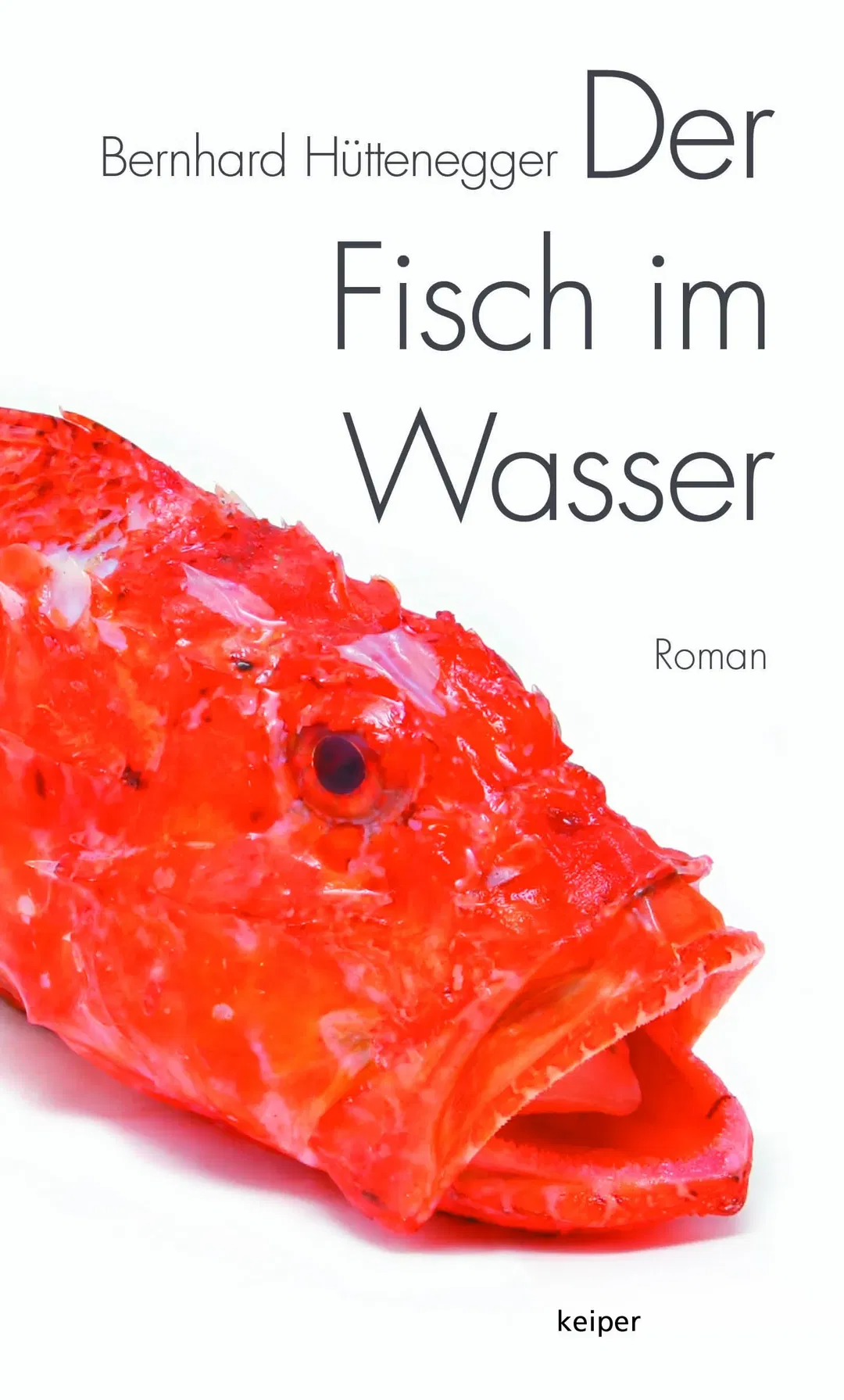Der Fisch im Wasser - Bernhard Hüttenegger - Bild 1