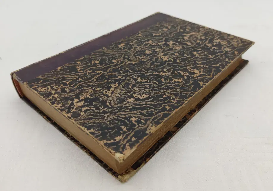 Geologische Alpenreise in der Schweiz, Savoyen und Piemont - Bild 1