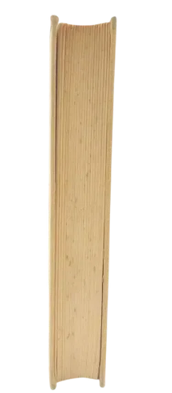 Die hundert Tage - Joseph Roth - Bild 4