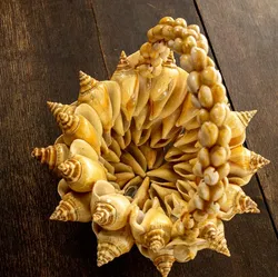 Muschelkorb Korb mit Tragegriff - Bild 2