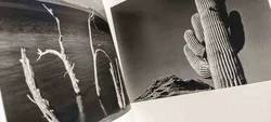 Edward Weston – Meisterwerke der Fotografie (Hardcover-Bildband) - Bild 4