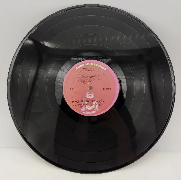 Langspielplatte - Jae Mason - Tender Man – Bild 4