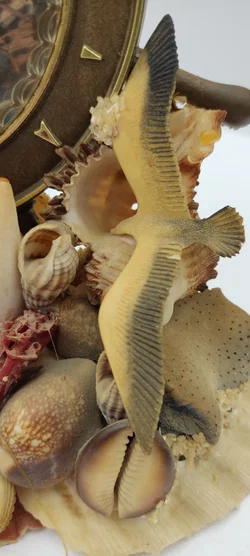 Tischdeko Aus Echten Muscheln | MIt Schönheitsfehler – Vorschau 6