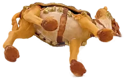 Krippenfigur - Heiliger König auf Kamel - Bild 4