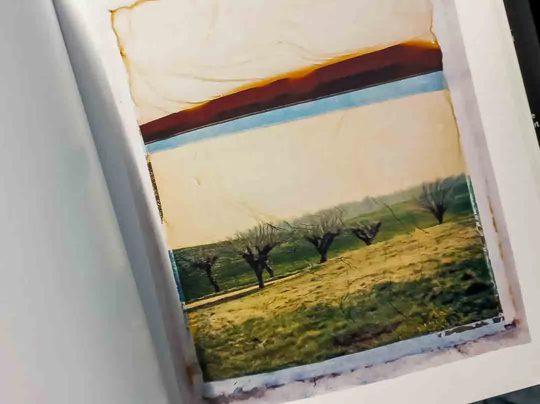 The Polaroid Book - Barbara Hitchcock – Bild 2