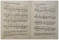 Mein Liederbuch – Die schönsten und bekanntesten Volkslieder für Handharmonika  - Bild 2