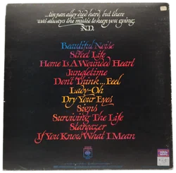 Neil Diamond, Beautiful Noise - Schallplatte - Bild 3