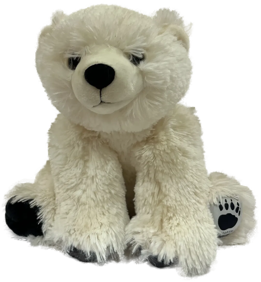 SCHÖNBRUNN Eisbär - Bild 1