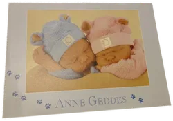 Schmidt Puzzle 1000 Stk Anne Geddes - Bild 1