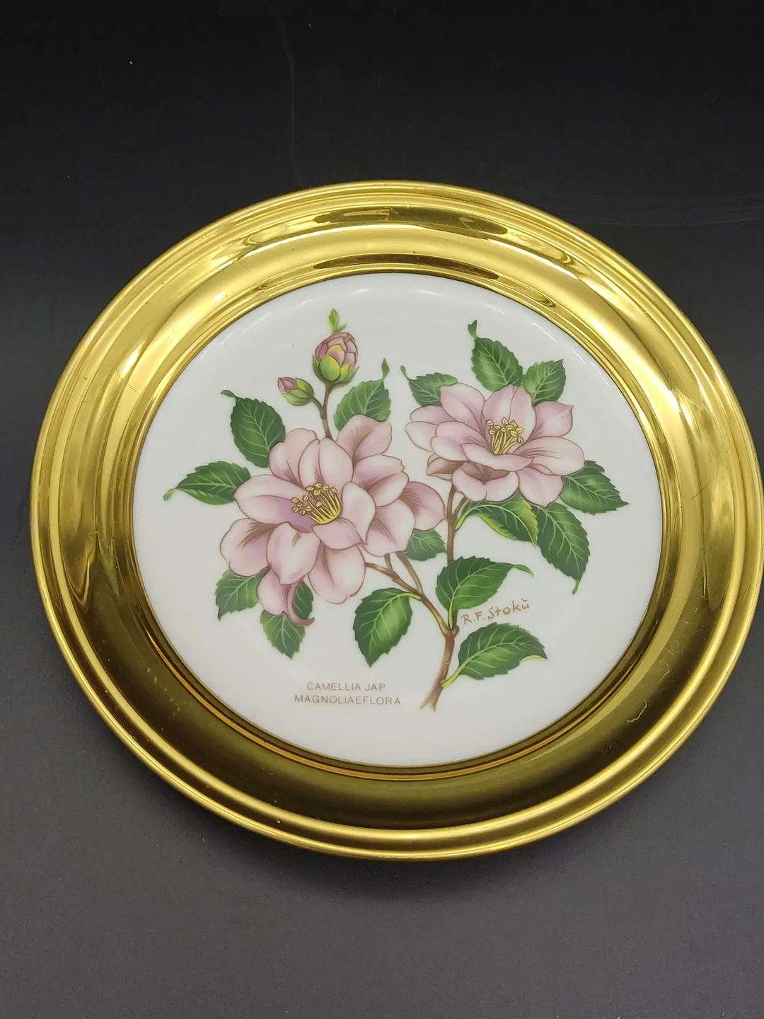 Winterling  Sammelteller  - Bild 3