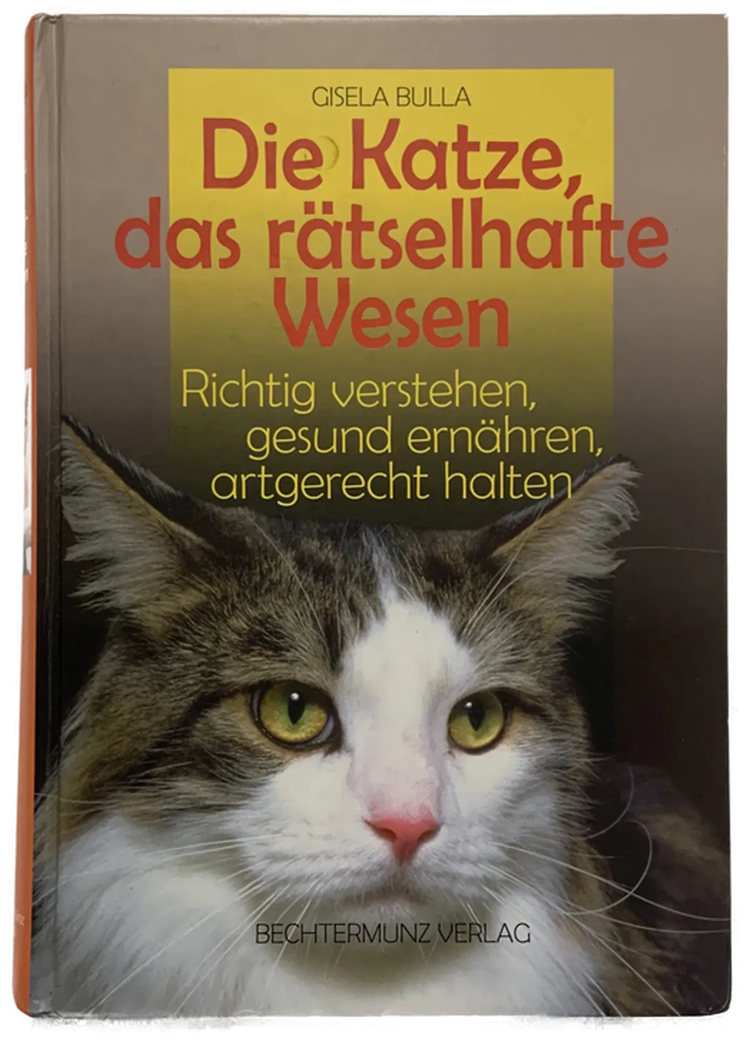Die Katze, das rätselhafte Wesen - Gisella Bulla - Bild 1