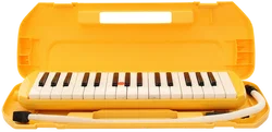 Blasinstrument 