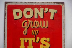 Vintage Blechschild „Don’t grow up it’s a trap“ 30x45 cm - Bild 3