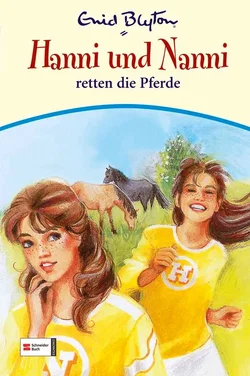Hanni & Nanni, Band 19 - Enid Blyton