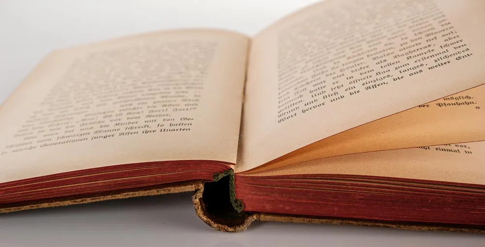 Rudyard Kipling - Das Dschungelbuch antiquarisch 1923 – Bild 4