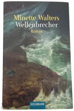 Wellenbrecher - Minette Walters - Bild 1