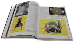 Buch NASA Saturn V Owners' Workshop Manual: 1967–1973 (Apollo 4 to Apollo 17 & Skylab) - Bild 3