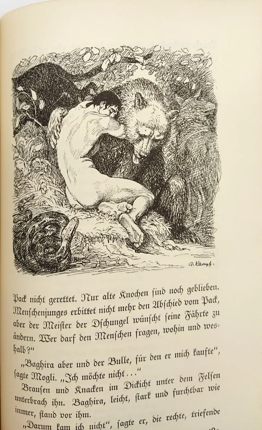 Rudyard Kipling - Die Dschungelbücher 1930 – Bild 3