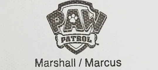 Spin Master ltd. PAW Patrol Marshall Stofftier – Bild 6