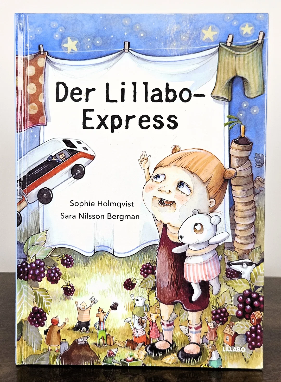 Der Lillabo-Express - Sophie Holmqvist  - Bild 2