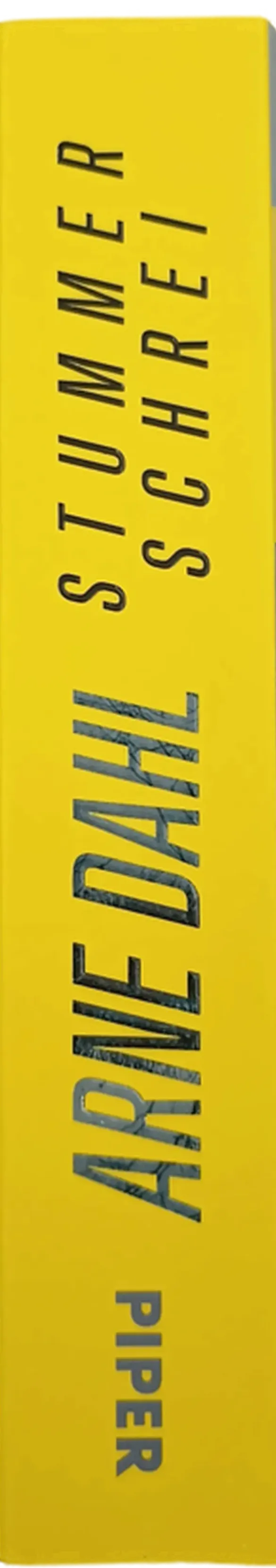 Stummer Schrei - Arne Dahl – Bild 2