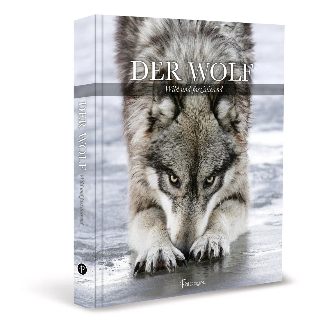 Der Wolf - Shaun Ellis - Bild 2
