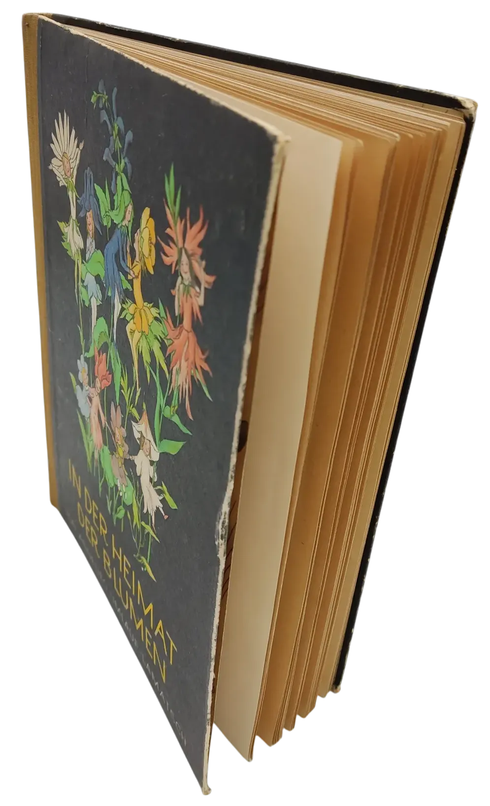 Vintage Buch - In der Heimat der Blumen - Annelies Umlauf-Lamatsch – Bild 2