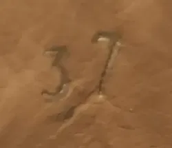 Copenhagen Studios Chelsea Boots aus Leder caramel Gr. 37 - Bild 6