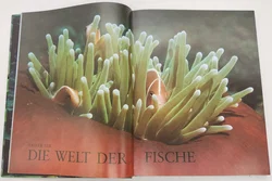 Buch Enzyklopädie der 