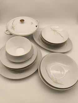 Speiseservice komplett , Eschenbach, 50er Jahre, Midcentury, Vintage, selten - Bild 1