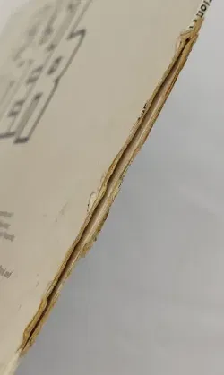 Langspielplatte - Various - Easy Rider - Bild 4