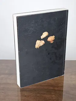 Im Schatten der Weilburg, Baden im Biedermeier - Johann Kräftner - Bild 2