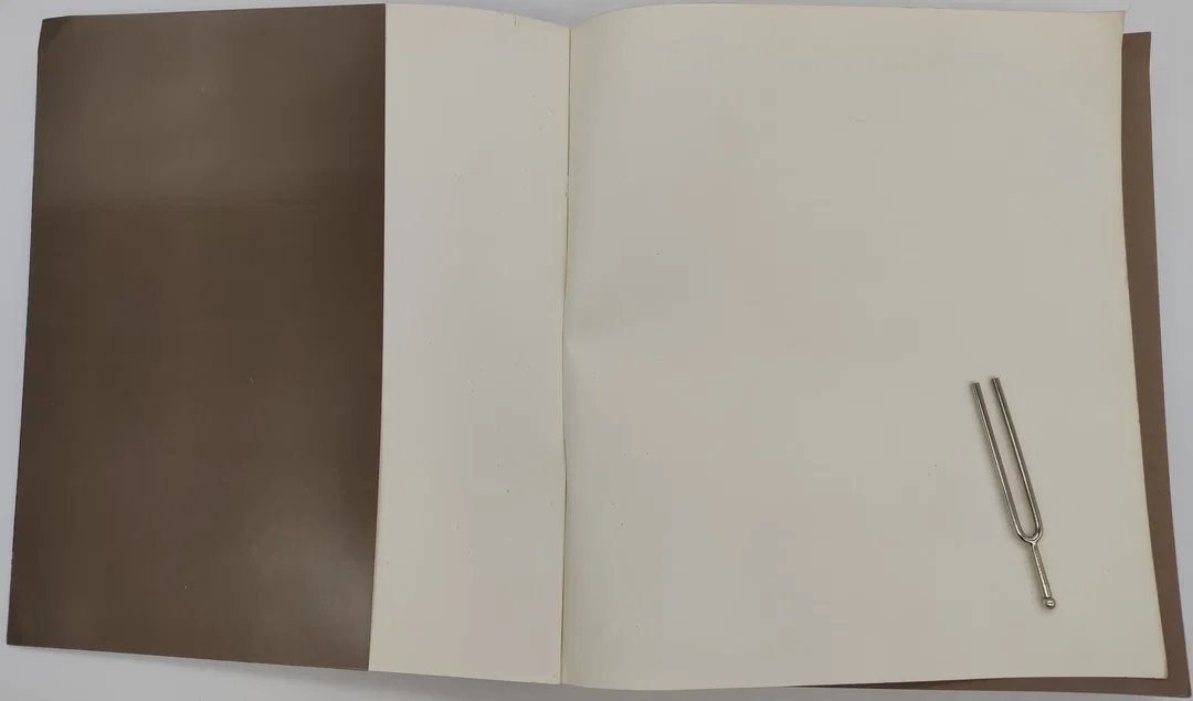 Buch Ver Sacrum "Neue Hefte für Kunst und Literatur" Ausgabe B. Mit 29 Originalgraphiken u. 2 Originalfotos Nr 00572 – Bild 3