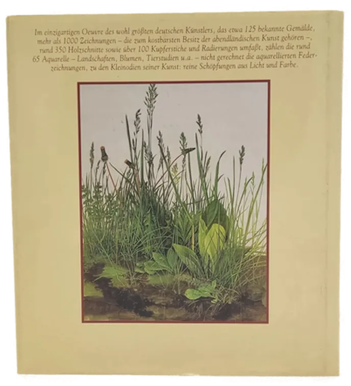 Buch "Albrecht Dürer - Aquarelle und Zeichnungen" von Friedrich Piel – Bild 2