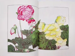 The Plants of 1917 – Vol.3 Summer 1 - Bild 3