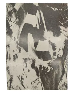 Vorarlberg 1945: Das Kriegsende und der Wiederaufbau demokratischer Verhältnisse in Vorarlberg im Jahre 1945 - Bild 3