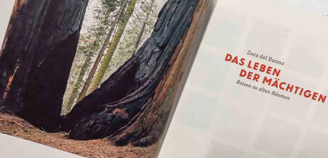 Das Leben der Mächtigen – Zora del Buono | Naturkunden | Matthes & Seitz – Bild 2