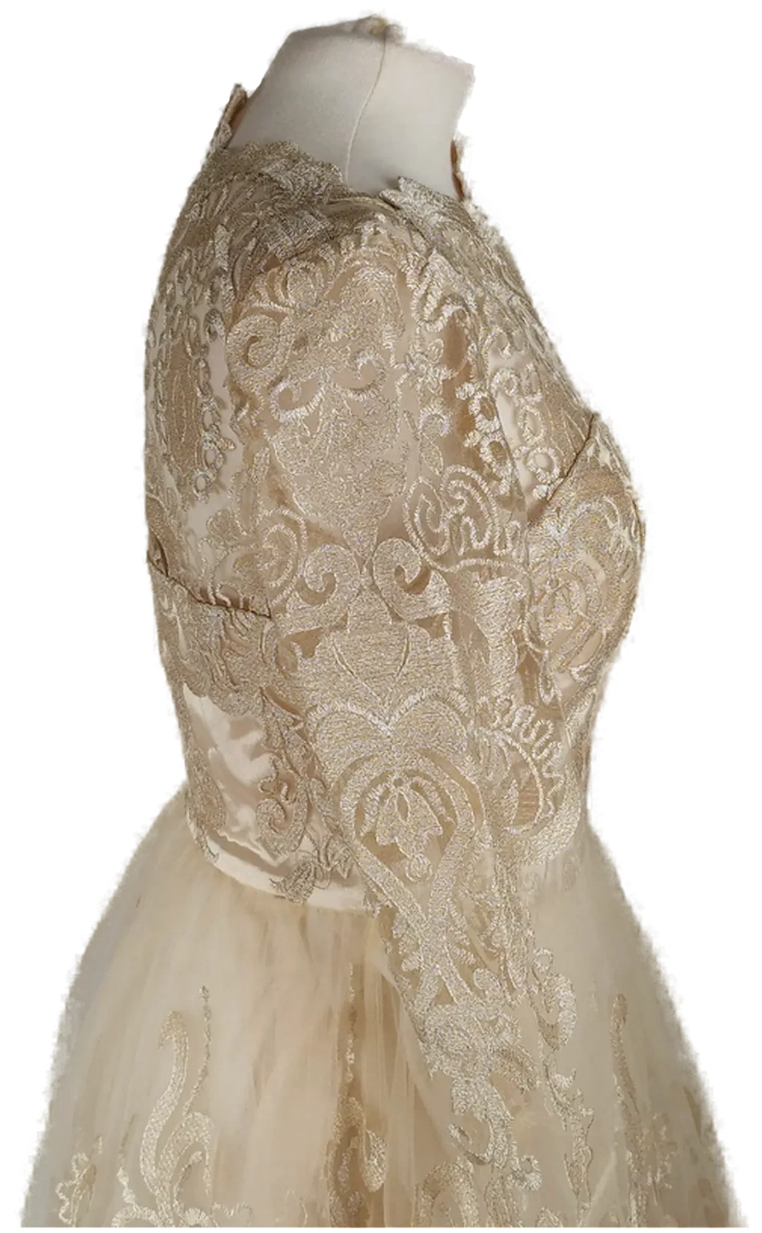 Spitzenkleid Chi Chi London Champagner | Festlicher Charme – Bild 3