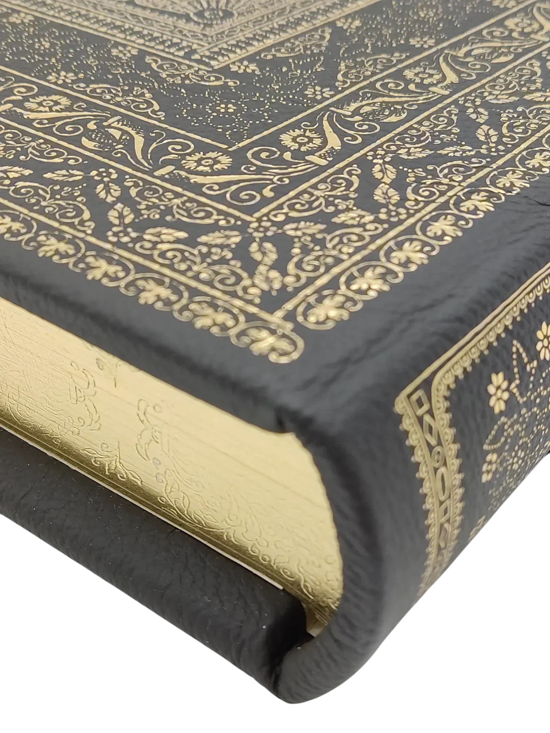 Prunkschrift - Biblia 1630 - die ganze heilige Schrift durch Dr. Martin Luther verdeutscht - Faksimile – Bild 6