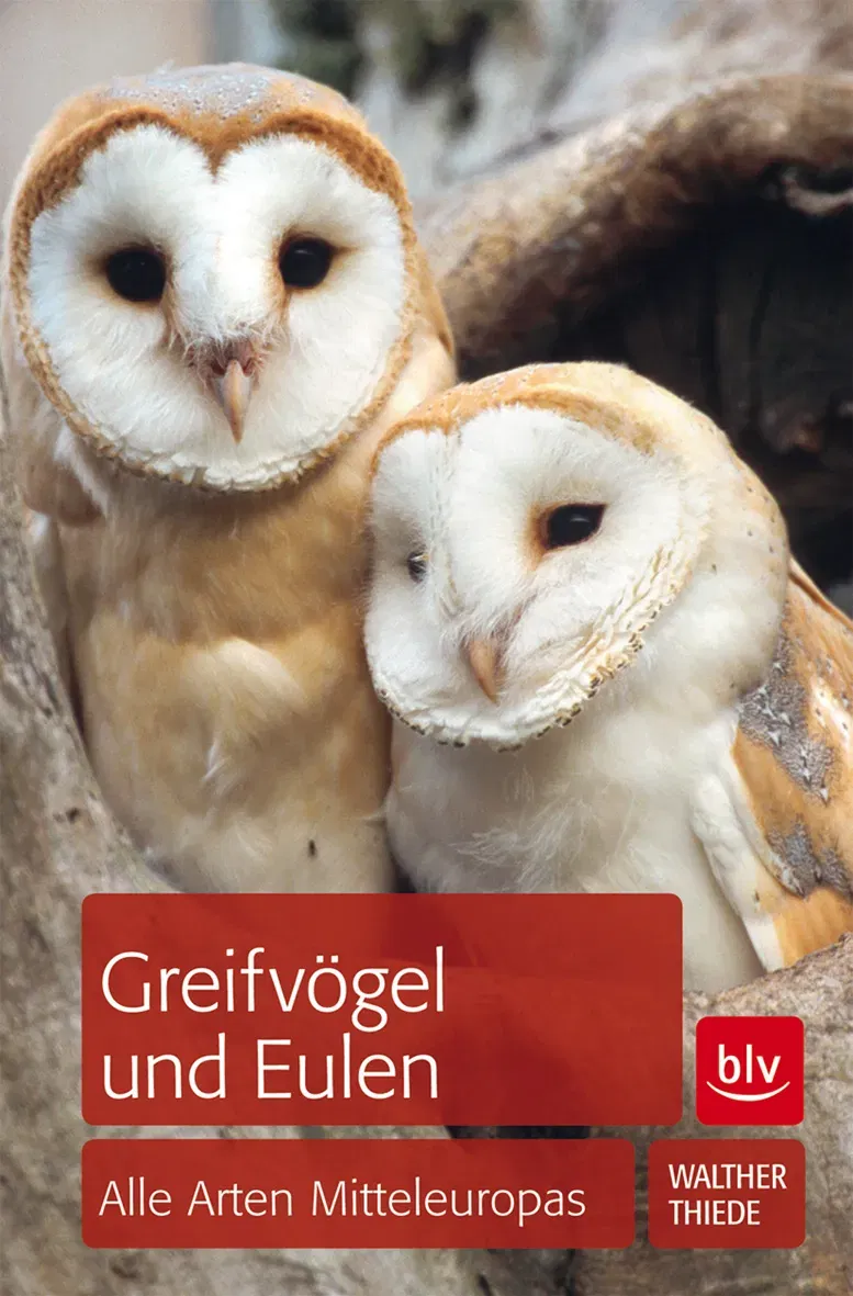 Greifvögel und Eulen - Walther Thiede - Bild 2