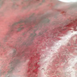 Ing. Raimund Steiner Dekorativer Teller - Durchmesser ca. 43cm - Bild 3