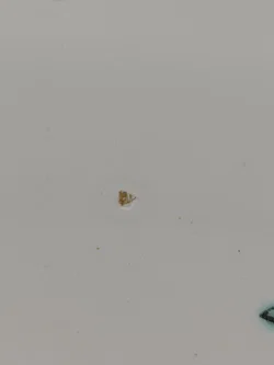 Gmundner Keramik - Große Tortenplatte 'Streublumen' Ø31cm - Bild 5